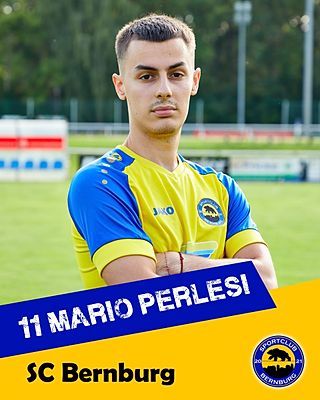 Mario Perlesi