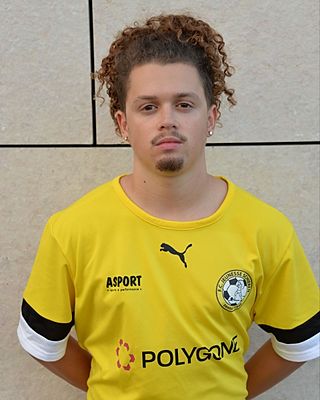 Miguel Ramos Domingues