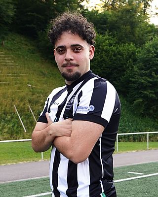 Tarik Mollahüseyinoglu