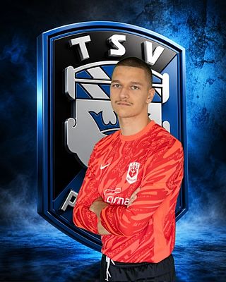 Tim Hochholzer