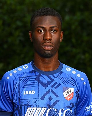 Martin Kwasi Gyameshie