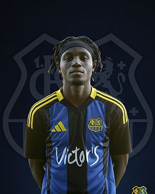 Stancy Alphonse Youbi