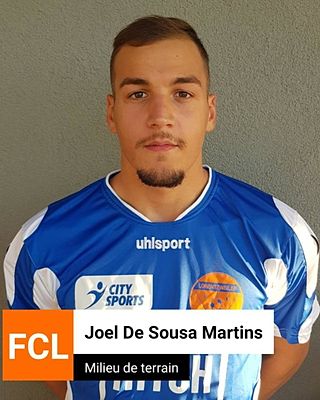 Joel de Sousa Martins