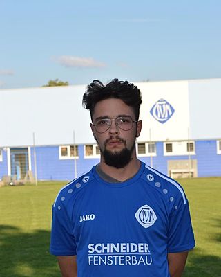 Michele Rollberg
