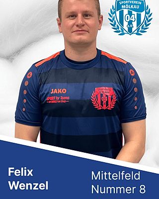 Felix Wenzel