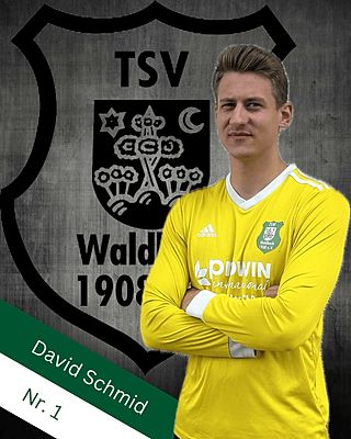 David Schmid