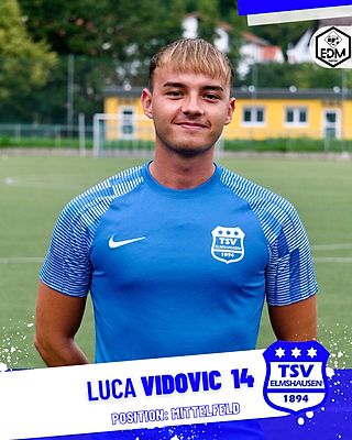 Luca Vidovic