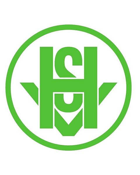 Foto: Hamminkelner SV