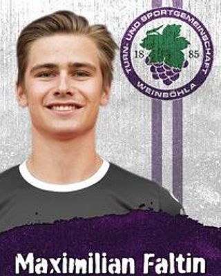 Maximilian Faltin
