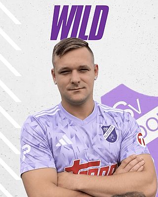Timo Wild