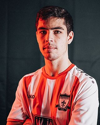 Stefan Losert