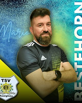 Mario Bestehorn