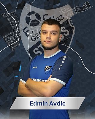 Edmin Avdic
