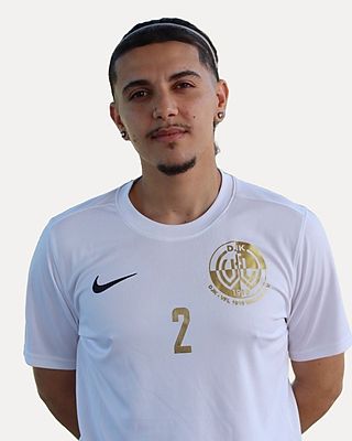 Mohammad Reza Zareeian