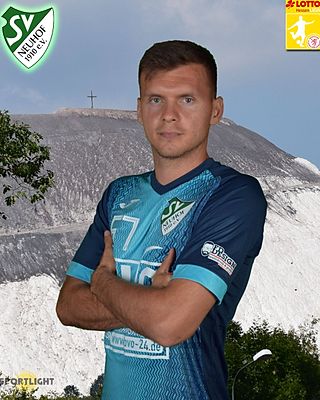 Iulius Radulescu