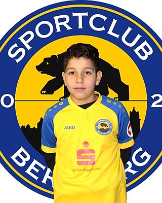 Mohammad Alhassan