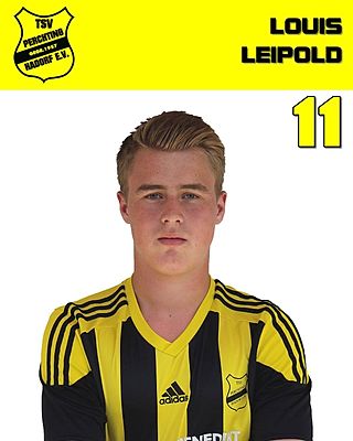 Louis Leipold