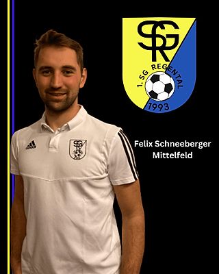 Felix Schneeberger