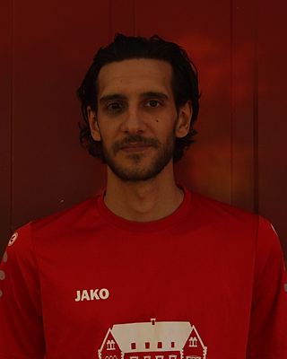 Denis Badrov