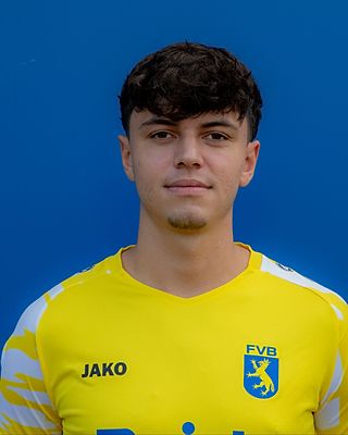 Timo Baier