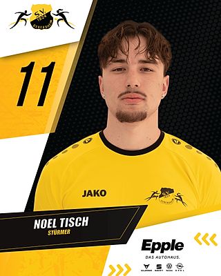 Noel Tisch