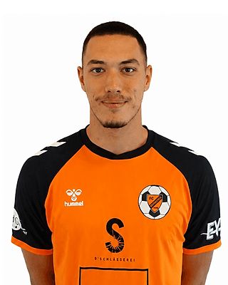 Balsa Perkovic