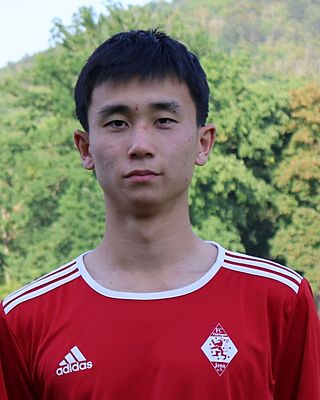 Zirui Yang