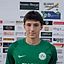 Dominik Brnadić
