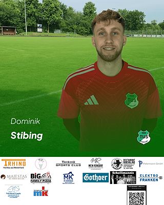 Dominik Stibing