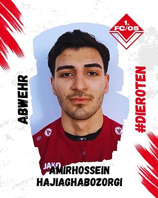 Amirhossein Hajiaghabozorgi