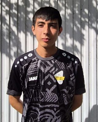 Ali Sina Paikar