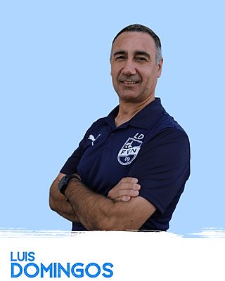 Luis Domingos