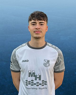 Ignacio Nedic Llorente