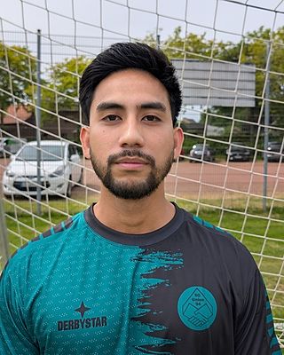 Mike Ryan Tingga