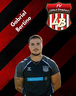 Gabriel Bertino