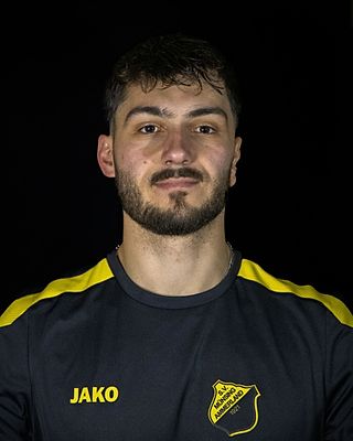 Valentino Stojadinovic