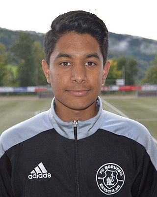 Krishna Ketharasingam