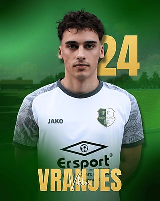 Viktor Vranjes
