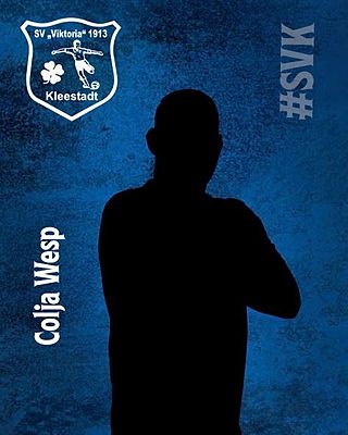 Colja Wesp