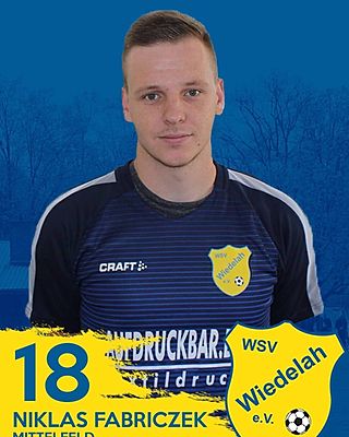 Niklas Fabriczek