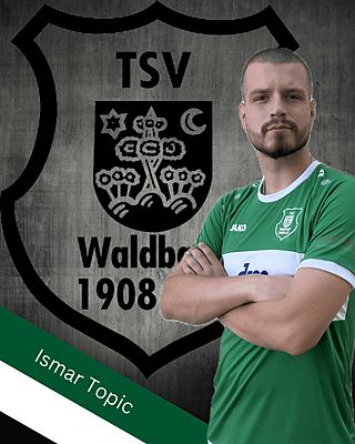 Ismar Topic
