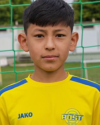 Amir Ali Shayan