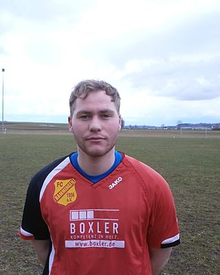 Martin Stiller