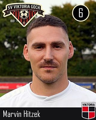 Marvin Hitzek