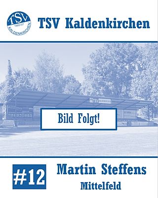 Martin Steffens