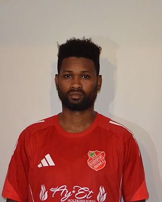 Mamadou Lamarana Diallo