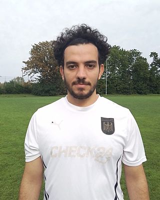 Alaa Sakaan