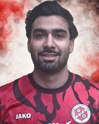 Alireza Mojahedi