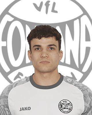 Pablo Andres Ullrich Noguera