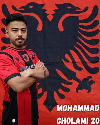 Mohammad Hossein Gholami
